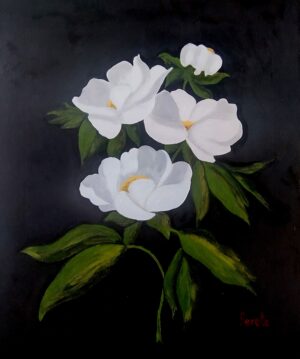 Magnolias blancas