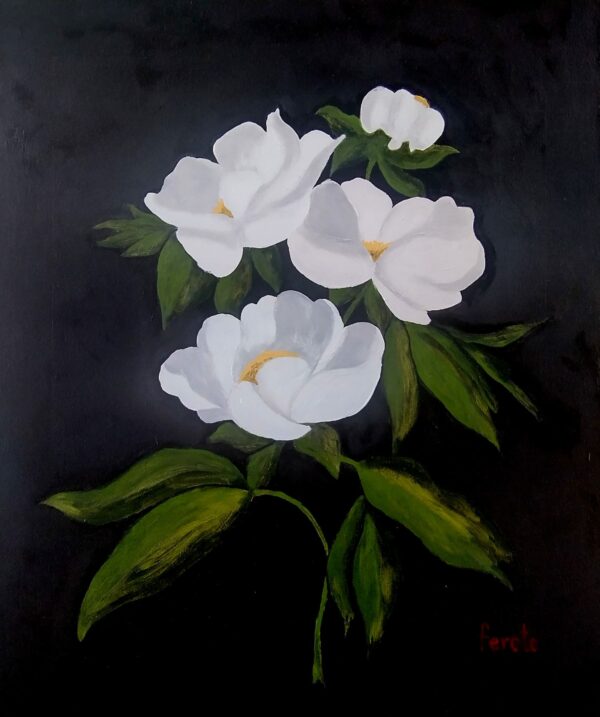 Magnolias blancas